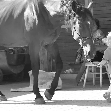 Ranc Milovice *