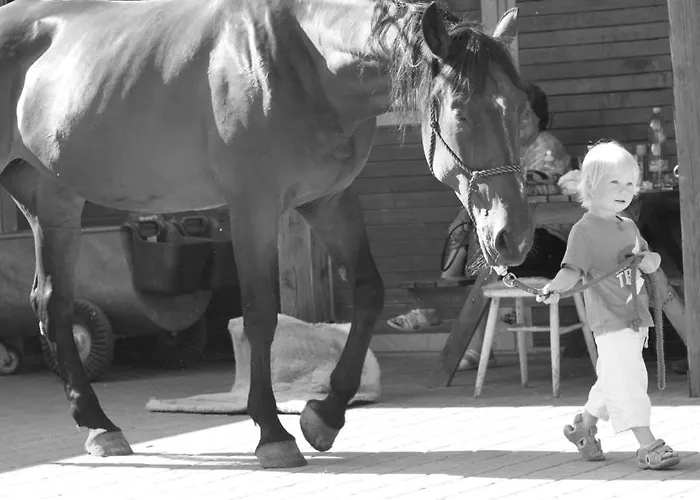 Ranc Milovice *