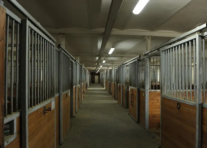 Ranc Milovice *